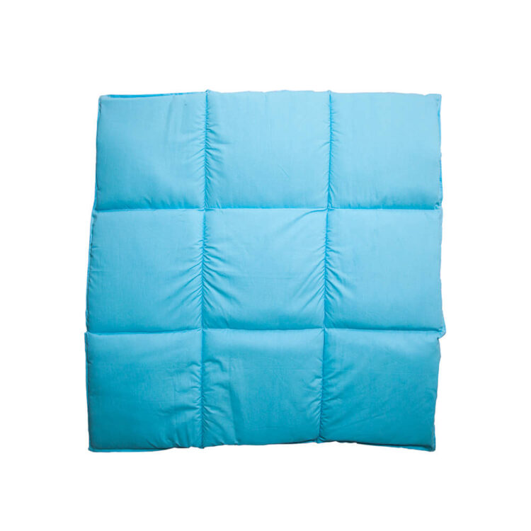 Salteluta joaca AQUA